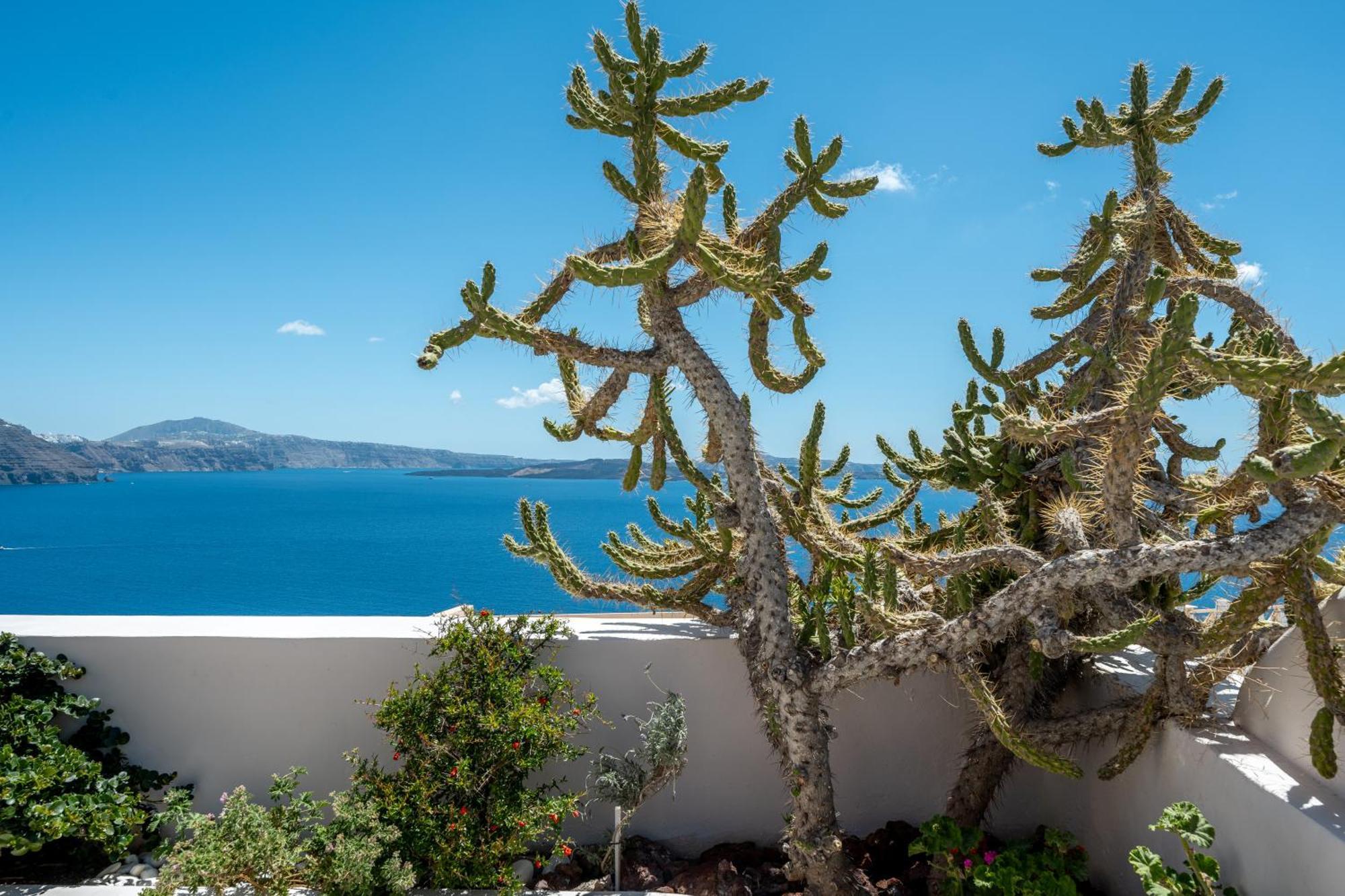 Passion Blue Villas Oía Exteriér fotografie